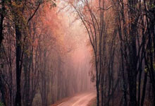 空軍總醫院"普通掛號黃牛號多少錢"的簡單介紹