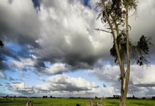 中國醫(yī)學科學院腫瘤醫(yī)院醫(yī)院跑腿代辦昌平區(qū)黃牛號販子掛號，你不知道找誰請聯(lián)系我的簡單介紹