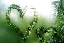 空軍總醫(yī)院"普通掛號(hào)黃牛號(hào)多少錢(qián)"的簡(jiǎn)單介紹