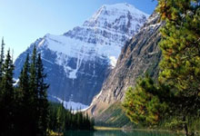 北京中醫醫院、豐臺區黃牛票販子號販子掛號電話的簡單介紹