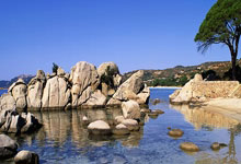 包含武警總醫院名醫薈萃黃牛掛號方便快捷的詞條